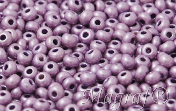 Seed Beads - 22704