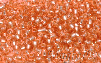 Seed Beads - 22829