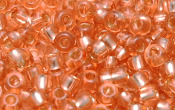 Seed Beads - 22829
