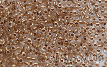 Seed Beads - 22830