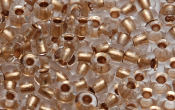 Seed Beads - 22830