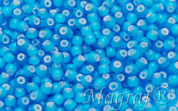 Seed Beads - 22831