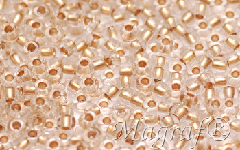 Seed Beads - 22894