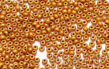 Seed Beads - 22901