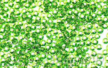 Seed Beads - 22989