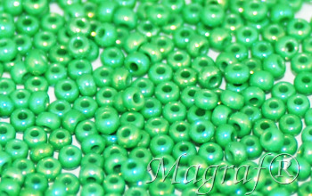 Seed Beads - 22990