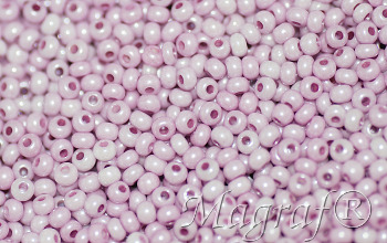 Seed Beads - 23001