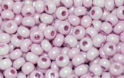Seed Beads - 23001