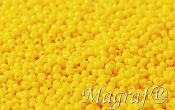 Seed Beads - 23113