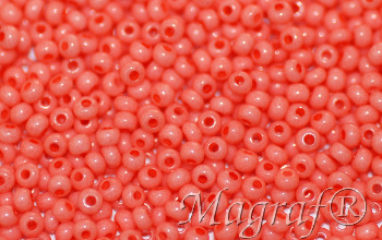 Seed Beads - 23120