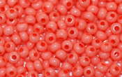 Seed Beads - 23120