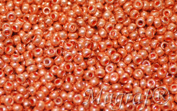 Seed Beads - 23121