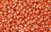 Seed Beads - 23121