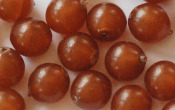 Imitation Pearls - 23141
